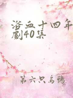 浴血十四年电视剧40集