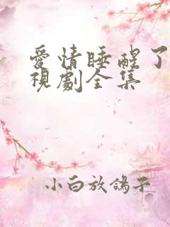 爱情睡醒了 电视剧全集