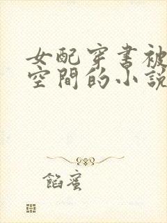 女配穿书被夺回空间的小说