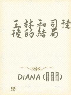 王林和司徒南最后的结局