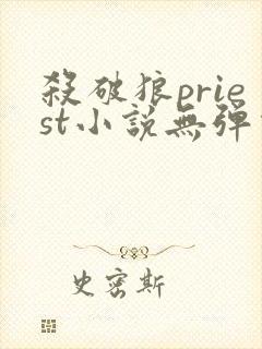 杀破狼priest小说无弹窗全文免费阅读