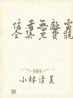 信者无敌电视剧全集免费观看剧情