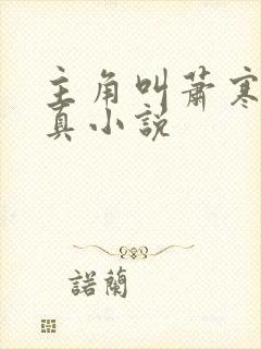 主角叫萧寒的修真小说