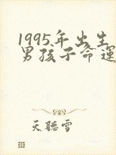 1995年出生男孩子命运财运婚姻