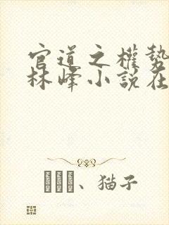 官道之权势滔天林峰小说在线阅读