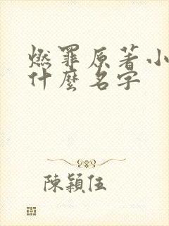 燃罪原著小说叫什么名字