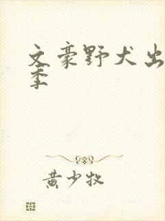 文豪野犬出了几季