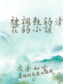被调教的清纯校花的小说