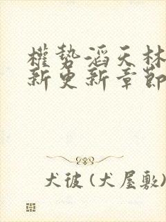 权势滔天林峰最新更新章节免费阅读