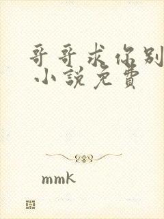 哥哥求你别弄我 小说免费