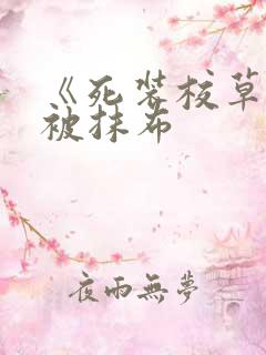 《死装校草活该被抹布