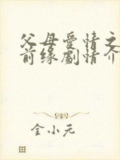 父母爱情之再续前缘剧情介绍