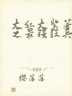 大红大紫著都市之最强狂兵