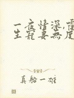 一夜情深,霍先生宠妻无度全本下载