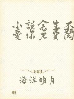 小说余生不过我爱你免费阅读