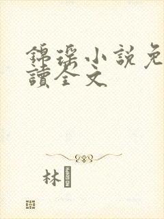 锦瑶小说免费阅读全文