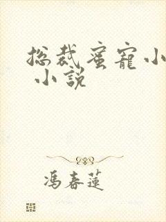 总裁蜜宠小甜妻 小说