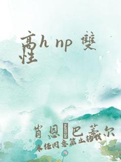 高h np 双性