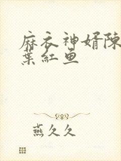 麻衣神婿陈黄皮叶红鱼