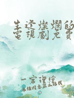 生逢灿烂的日子电视剧免费观看全集