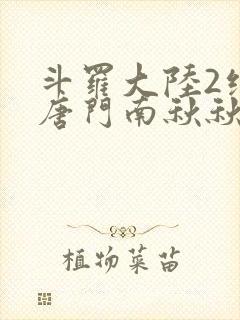 斗罗大陆2绝世唐门南秋秋