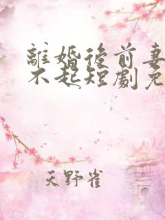 离婚后前妻高攀不起短剧免费