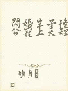 闪婚生子后被老公宠上天短剧合集