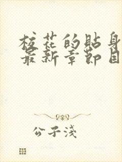 校花的贴身高手最新章节目录阅读