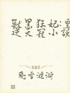 兽黑狂妃:皇叔逆天宠小说