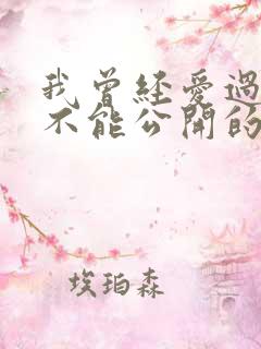 我曾经爱过一个不能公开的人是什么歌