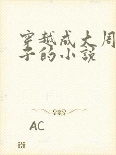 穿越成大周六皇子的小说