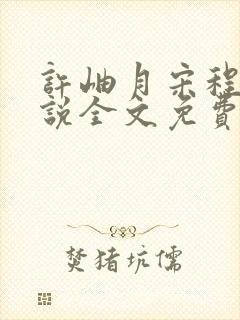 许岫月宋程年小说全文免费阅读笔趣阁