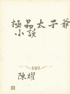 极品太子爷浮沉 小说