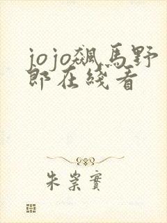 jojo飙马野郎在线看