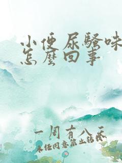 小便尿骚味重是怎么回事