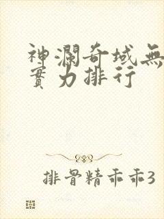 神澜奇域无双珠实力排行