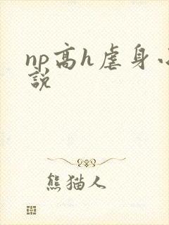 np高h虐身小说