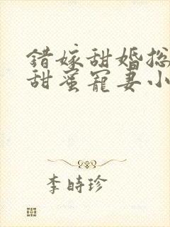 错嫁甜婚总裁的甜蜜宠妻小说