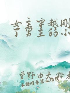 女主穿越刚好救了男主的小说