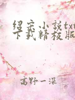 绍宋小说txt下载精校版