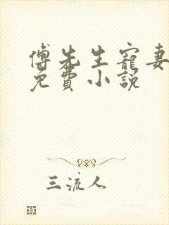 傅先生宠妻无度免费小说