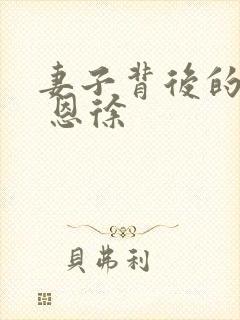 妻子背后的秘密 恩徐