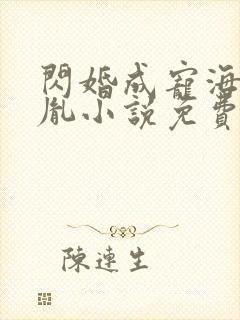 闪婚成宠海彤战胤小说免费阅读