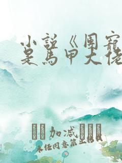 小说《团宠妹妹是马甲大佬》