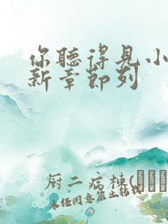 你听得见小说最新章节列