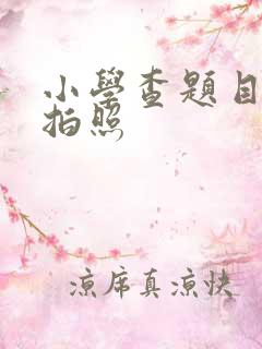 小学查题目答案拍照