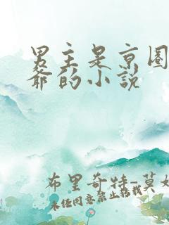 男主是京圈太子爷的小说