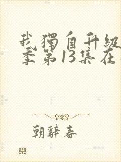 我独自升级第二季第13集在线观看