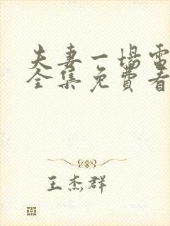 夫妻一场电视剧全集免费看