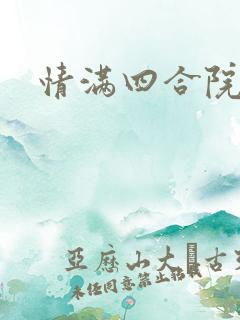 情满四合院穿越